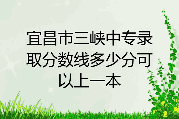 宜昌市三峡中专录取分数线多少分可以上一本