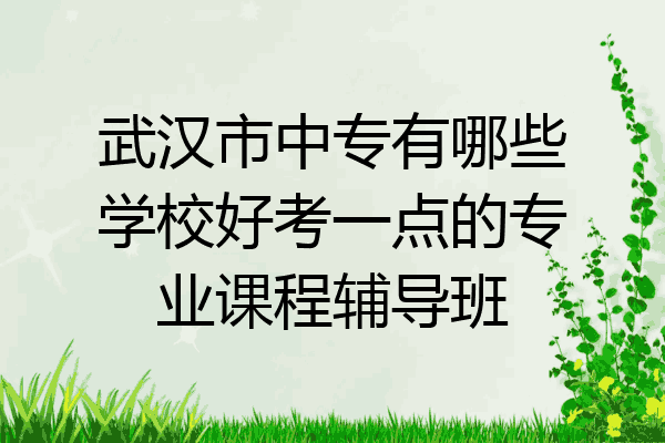 武汉市中专有哪些学校好考一点的专业课程辅导班
