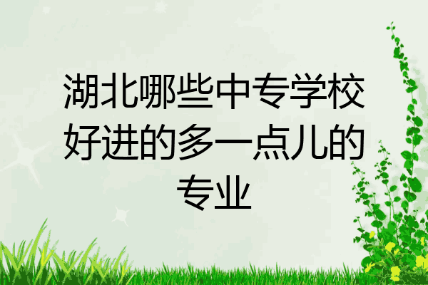 湖北哪些中专学校好进的多一点儿的专业
