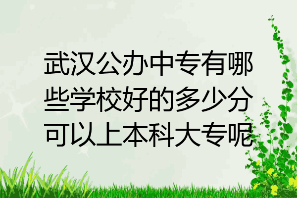 武汉公办中专有哪些学校好的多少分可以上本科大专呢