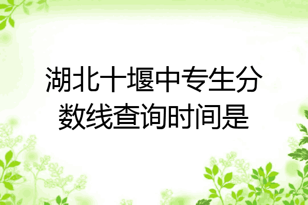 湖北十堰中专生分数线查询时间是