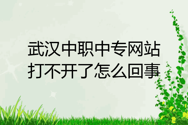 武汉中职中专网站打不开了怎么回事