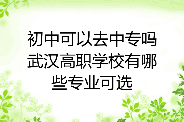 初中可以去中专吗武汉高职学校有哪些专业可选