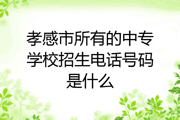 孝感市所有的中专学校招生电话号码是什么