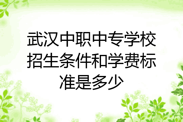 武汉中职中专学校招生条件和学费标准是多少