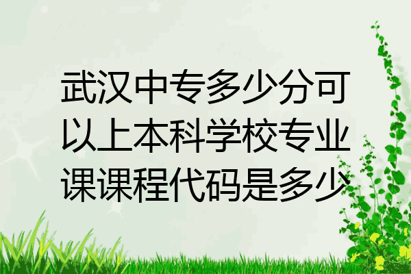 武汉中专多少分可以上本科学校专业课课程代码是多少