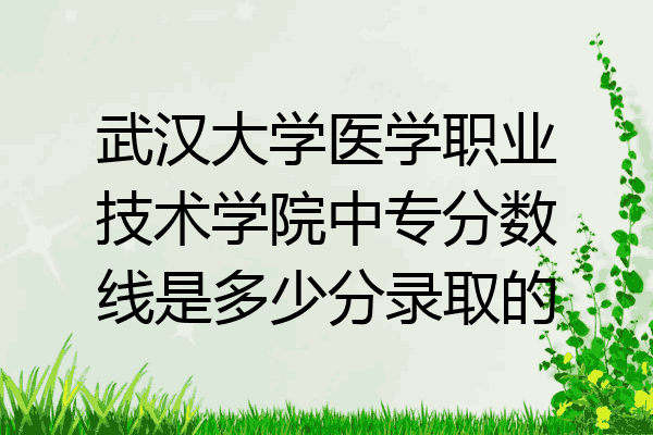 武汉大学医学职业技术学院中专分数线是多少分录取的