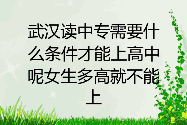 武汉读中专需要什么条件才能上高中呢女生多高就不能上