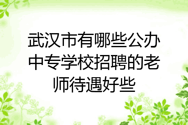 武汉市有哪些公办中专学校招聘的老师待遇好些