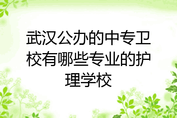 武汉公办的中专卫校有哪些专业的护理学校