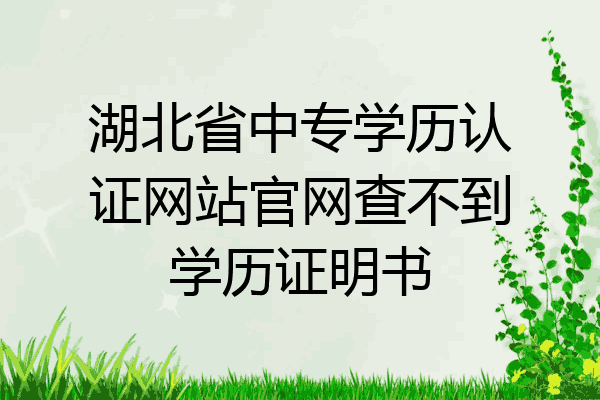 湖北省中专学历认证网站官网查不到学历证明书