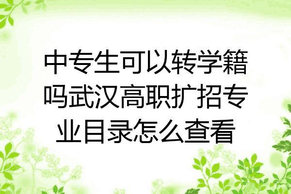 中专生可以转学籍吗武汉高职扩招专业目录怎么查看