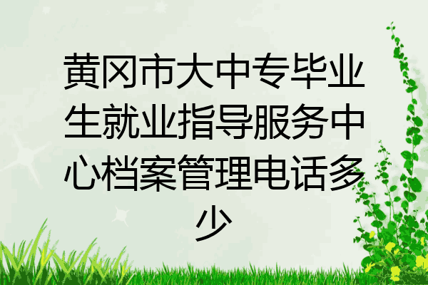 黄冈市大中专毕业生就业指导服务中心档案管理电话多少