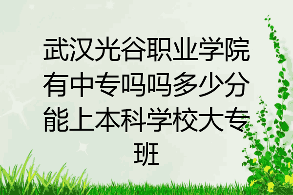 武汉光谷职业学院有中专吗吗多少分能上本科学校大专班