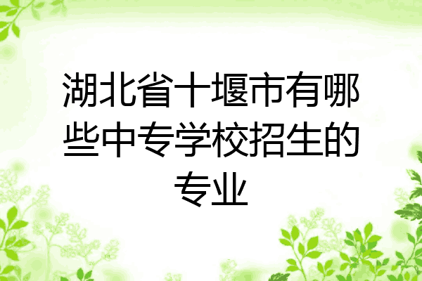 湖北省十堰市有哪些中专学校招生的专业