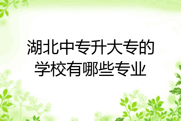 湖北中专升大专的学校有哪些专业