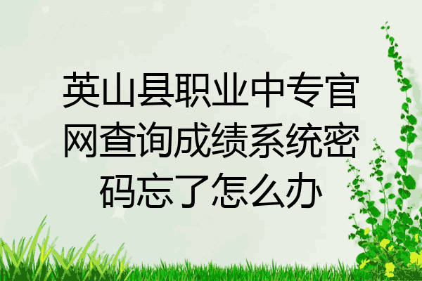英山县职业中专官网查询成绩系统密码忘了怎么办
