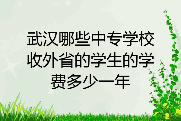 武汉哪些中专学校收外省的学生的学费多少一年