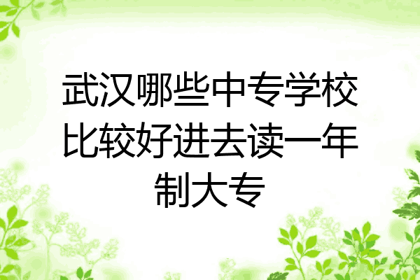 武汉哪些中专学校比较好进去读一年制大专