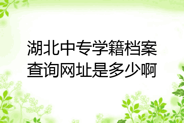 湖北中专学籍档案查询网址是多少啊