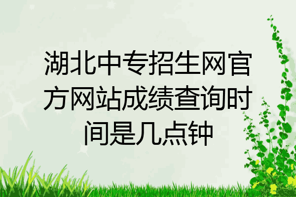 湖北中专招生网官方网站成绩查询时间是几点钟