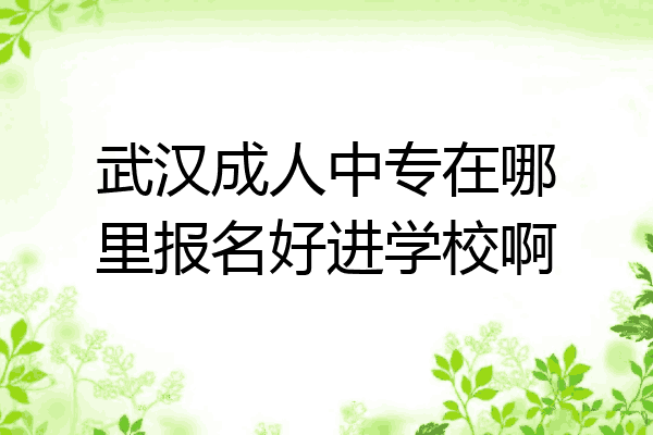 武汉成人中专在哪里报名好进学校啊