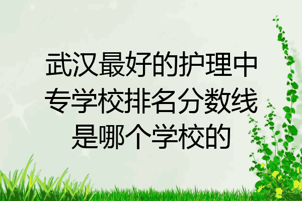 武汉最好的护理中专学校排名分数线是哪个学校的