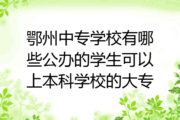 鄂州中专学校有哪些公办的学生可以上本科学校的大专