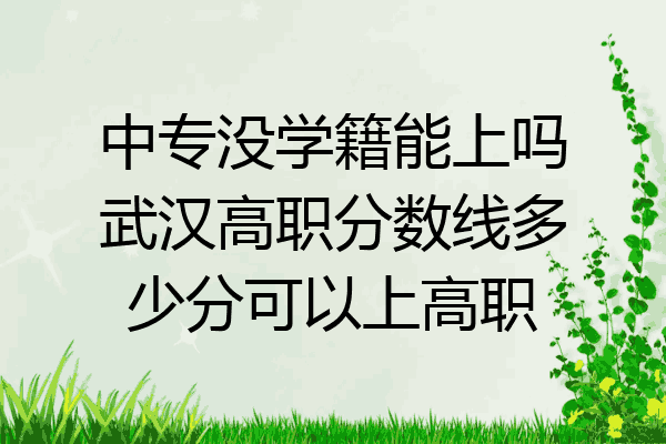 中专没学籍能上吗武汉高职分数线多少分可以上高职