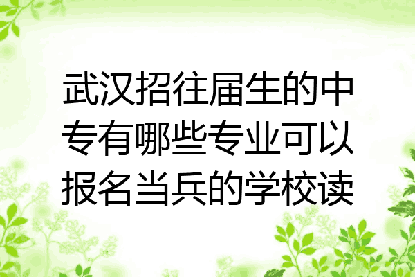 武汉招往届生的中专有哪些专业可以报名当兵的学校读