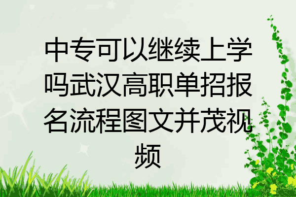 中专可以继续上学吗武汉高职单招报名流程图文并茂视频