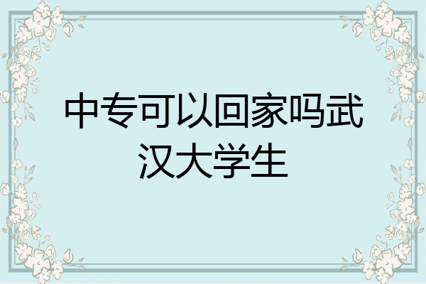 中专可以回家吗武汉大学生