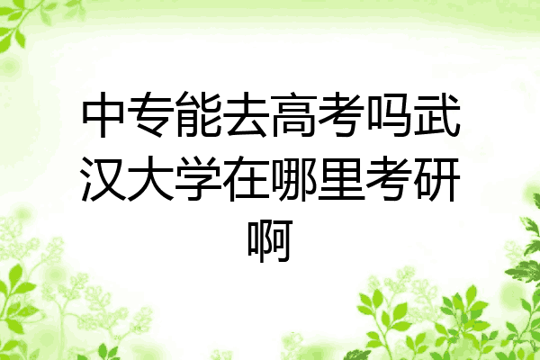 中专能去高考吗武汉大学在哪里考研啊