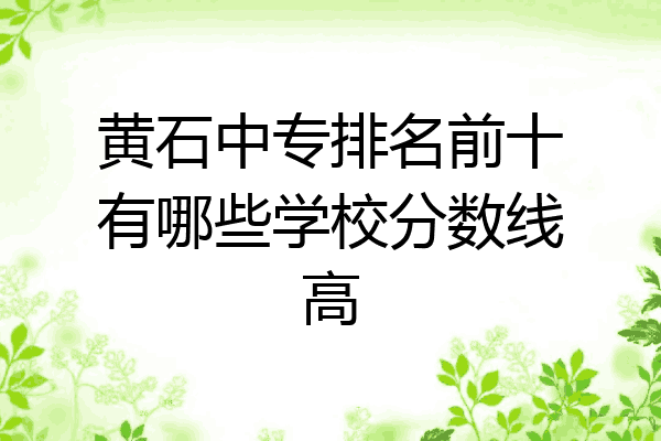 黄石中专排名前十有哪些学校分数线高
