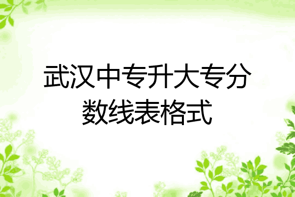 武汉中专升大专分数线表格式