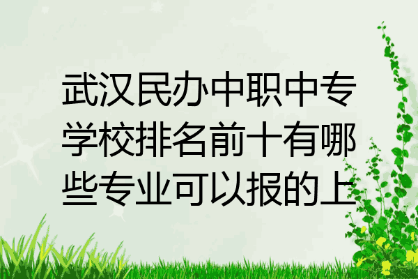 武汉民办中职中专学校排名前十有哪些专业可以报的上