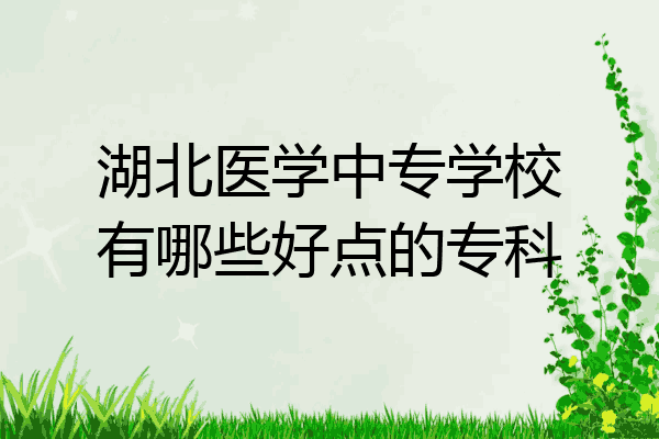 湖北医学中专学校有哪些好点的专科