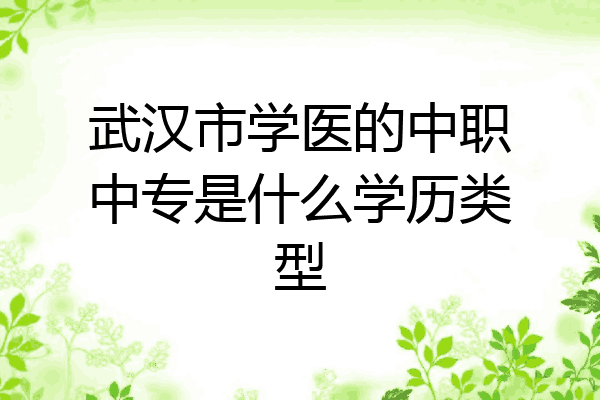 武汉市学医的中职中专是什么学历类型
