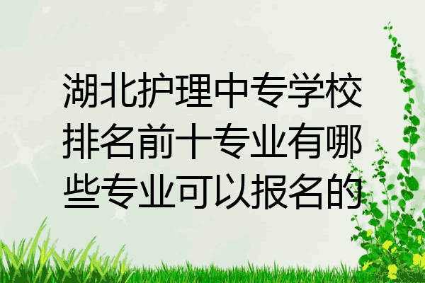 湖北护理中专学校排名前十专业有哪些专业可以报名的
