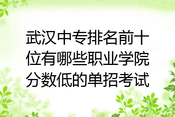 武汉中专排名前十位有哪些职业学院分数低的单招考试