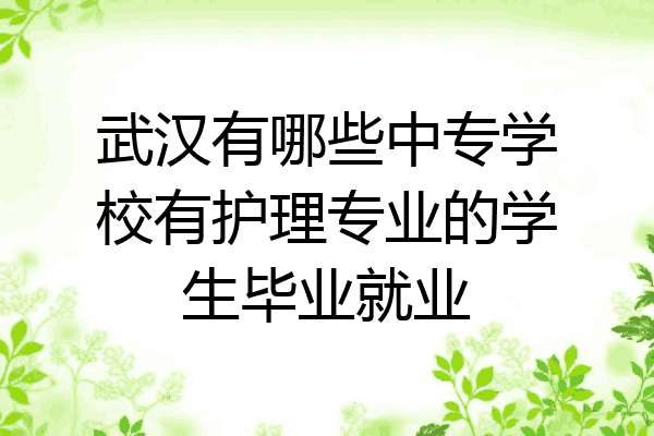 武汉有哪些中专学校有护理专业的学生毕业就业