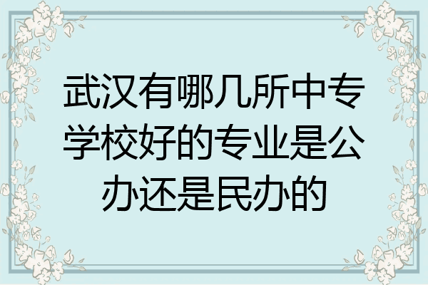 武汉有哪几所中专学校好的专业是公办还是民办的