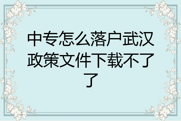 中专怎么落户武汉政策文件下载不了了