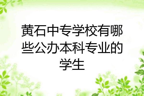 黄石中专学校有哪些公办本科专业的学生