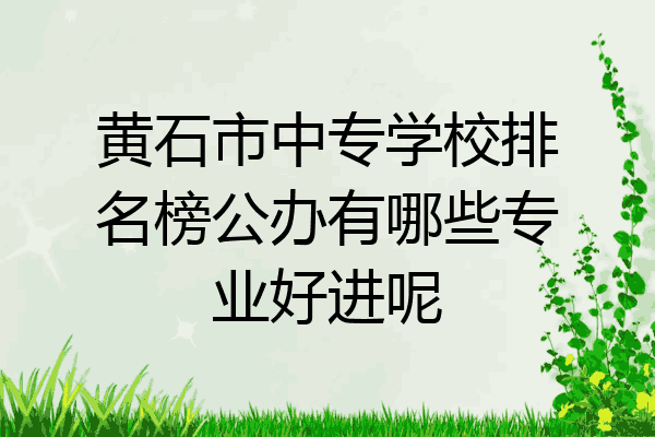 黄石市中专学校排名榜公办有哪些专业好进呢