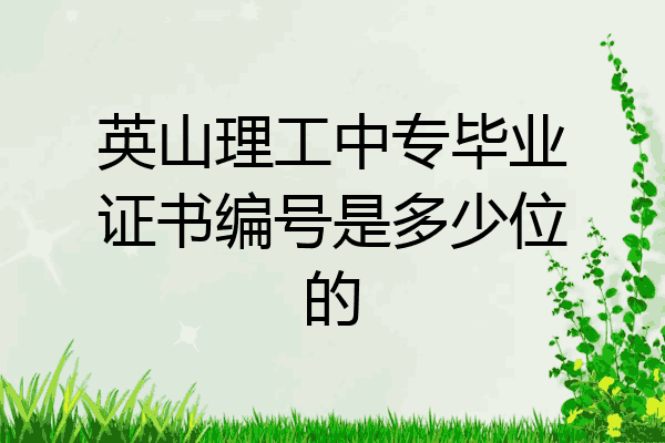 英山理工中专毕业证书编号是多少位的