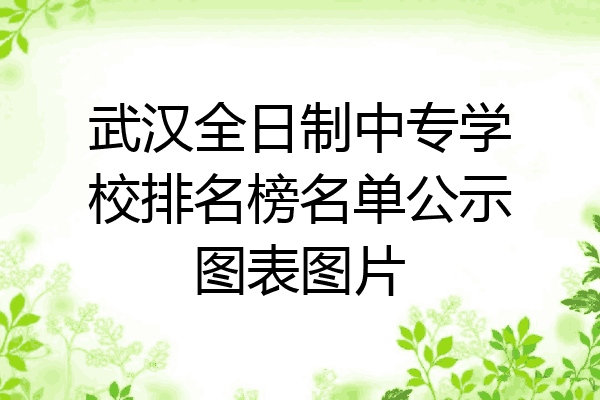 武汉全日制中专学校排名榜名单公示图表图片