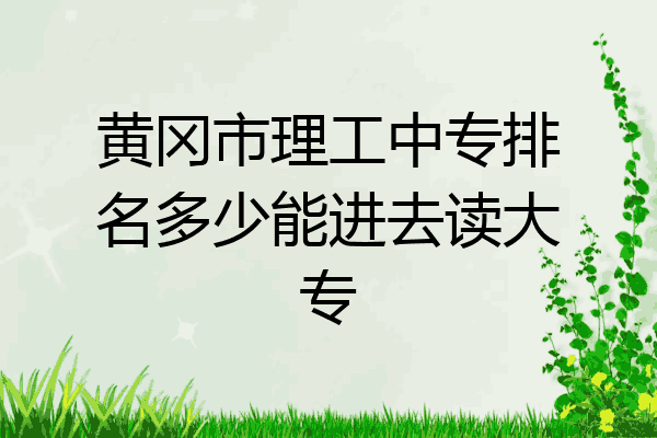 黄冈市理工中专排名多少能进去读大专