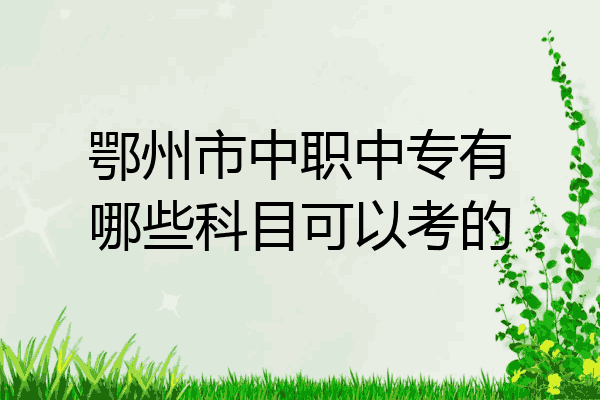 鄂州市中职中专有哪些科目可以考的
