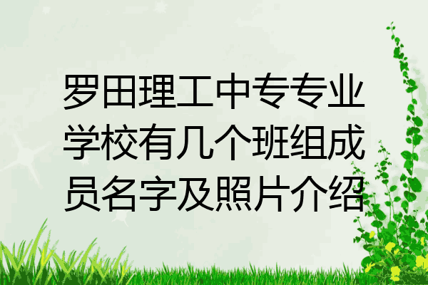 罗田理工中专专业学校有几个班组成员名字及照片介绍